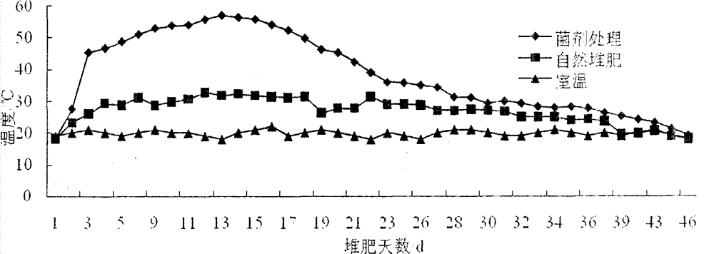 Complex microbial agent for composting fermentation and application thereof