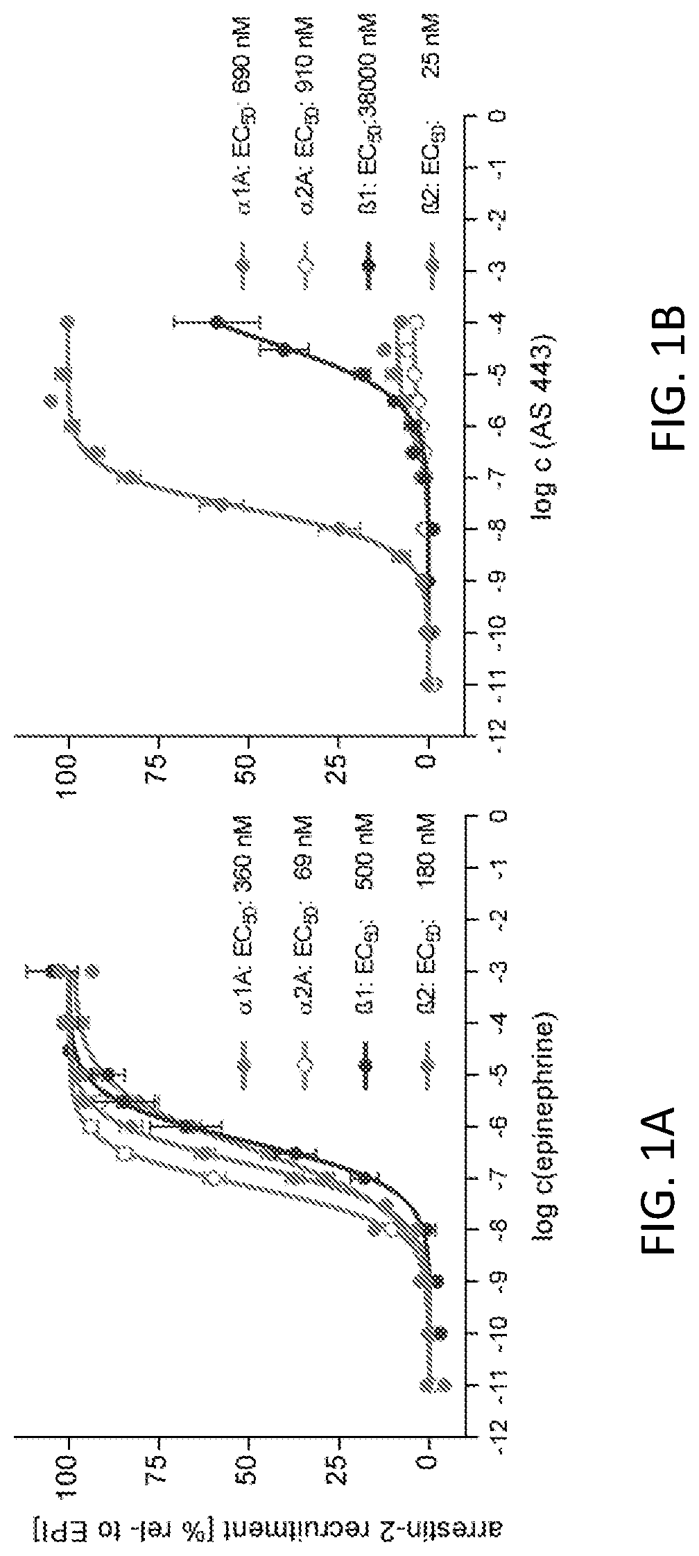 Beta-2 selective adrenergic receptor agonists