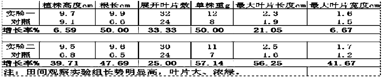 Granular microbial agent and production method thereof