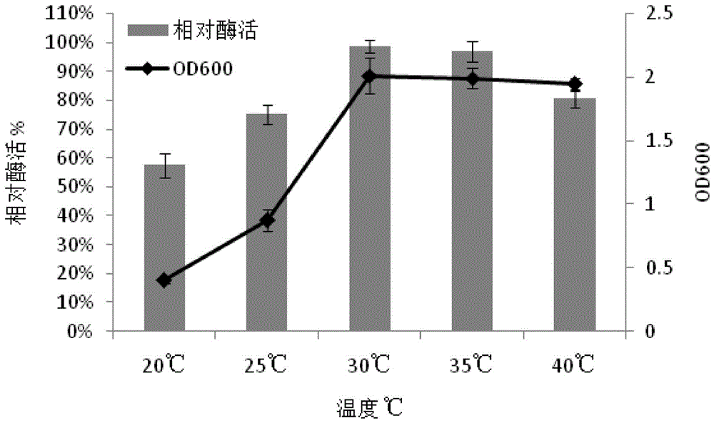 Bacillus saccharophila used for degrading alginic acid, and application method thereof