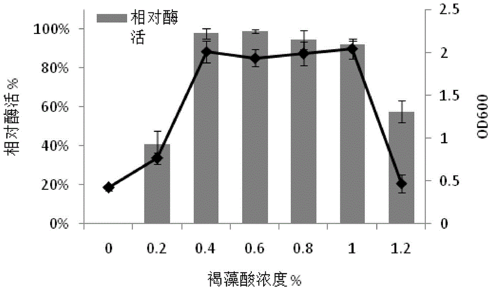 Bacillus saccharophila used for degrading alginic acid, and application method thereof