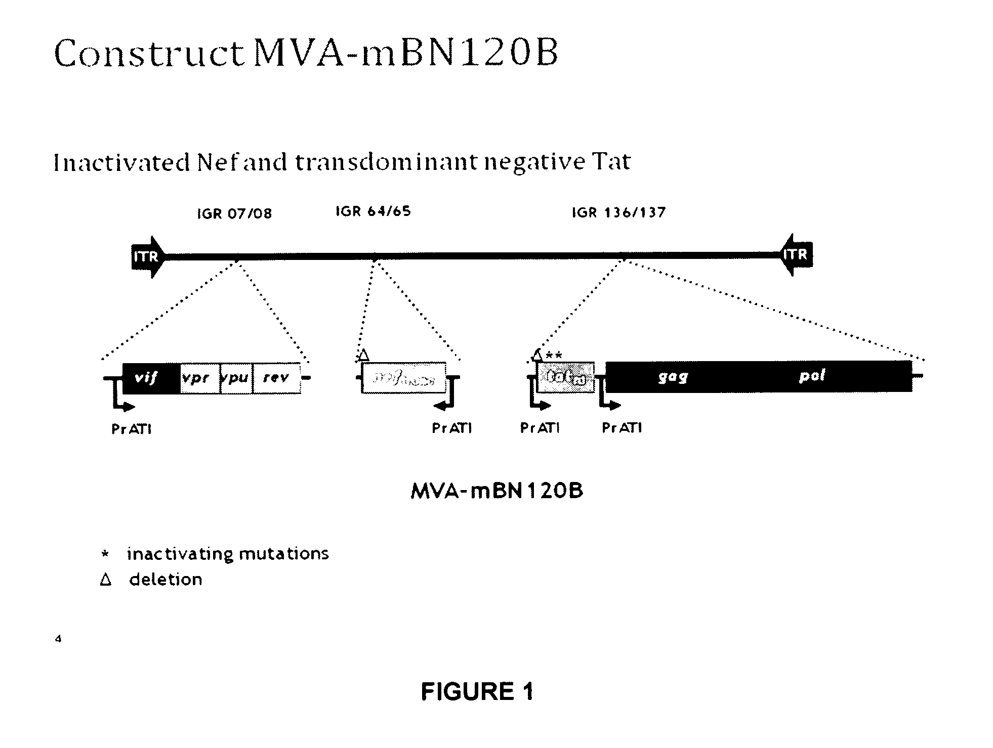 Generation of a broad t-cell response in humans against HIV