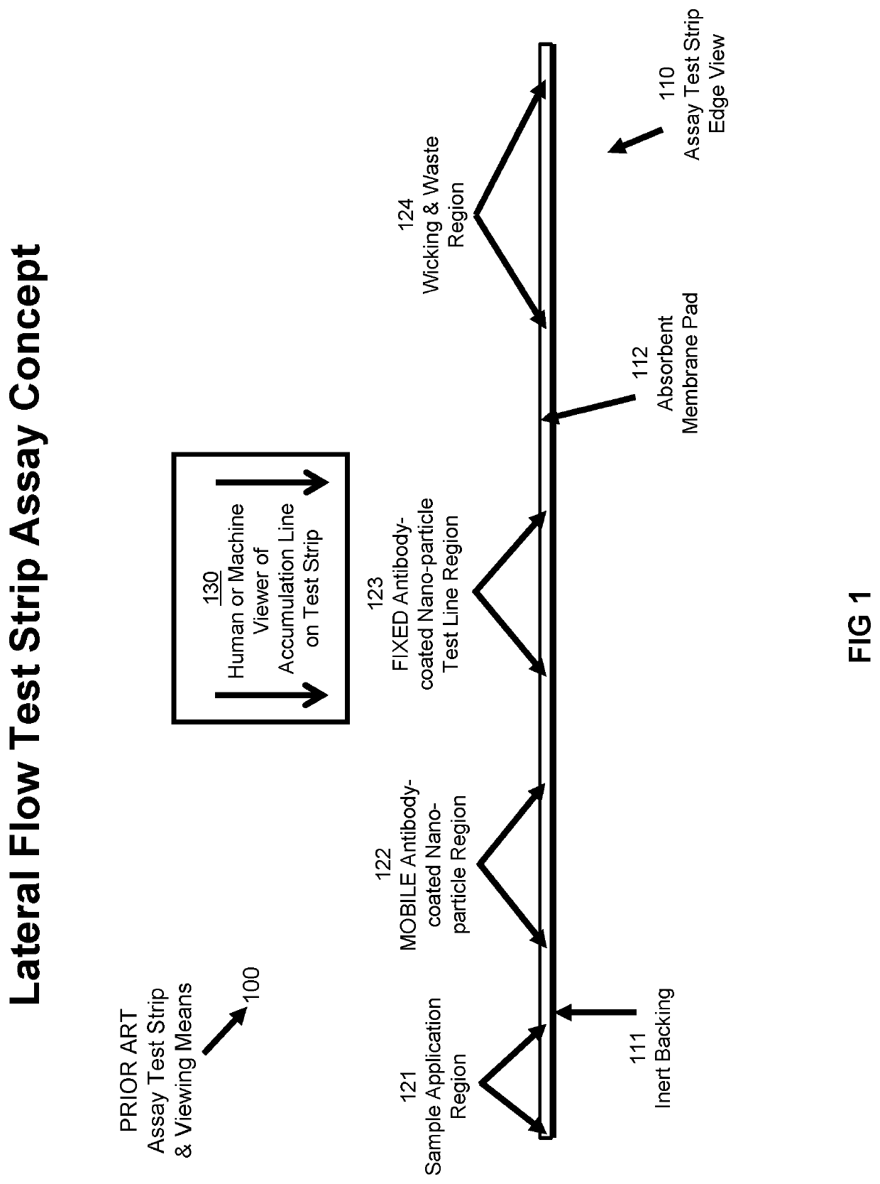 Method and apparatus to provide connected, in-situ, comprehensive, and accurate lateral flow assays