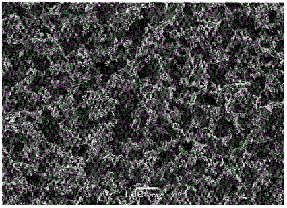 Cosmetic sponge, process for producing elastic polyurethane object, and applicator for cosmetic preparation