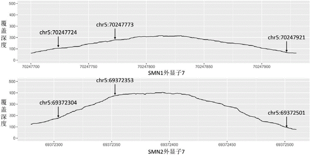 Spinal muscular atrophy related gene copy number detecting kit and method based on gene trapping and second-generation sequencing technique