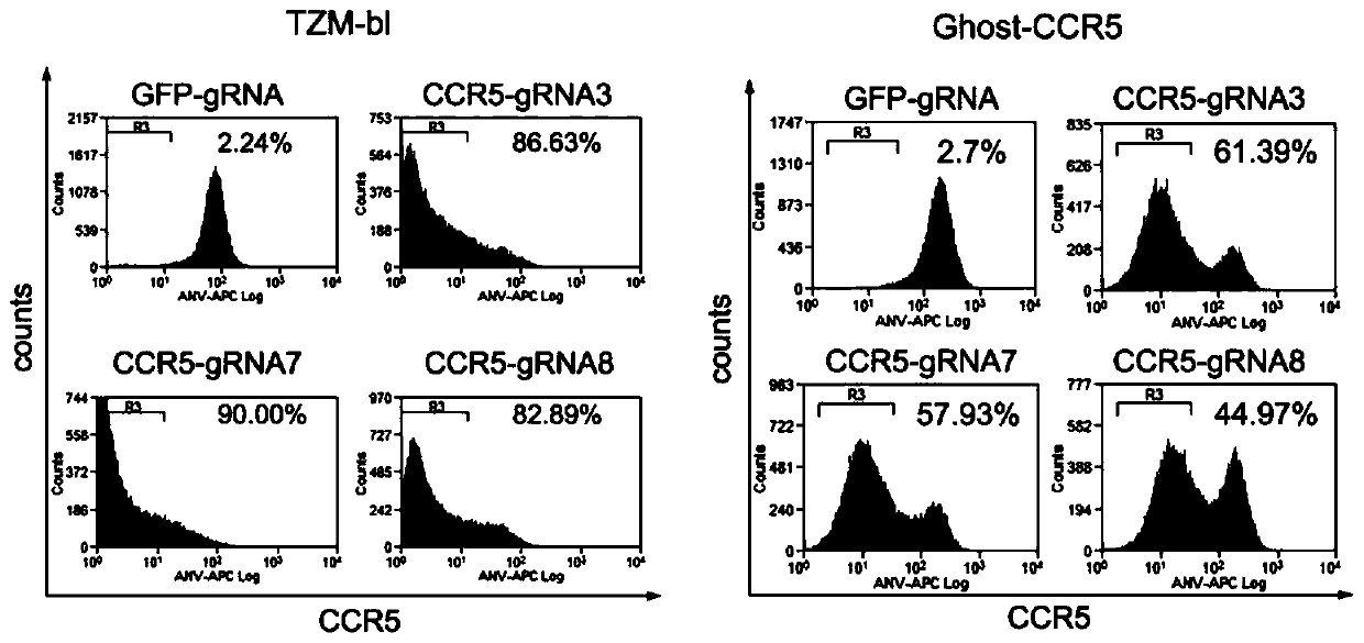 CRISPR/Cas9 recombinant lentiviral vector containing gRNA sequence specifically targeting ccr5 gene and its application