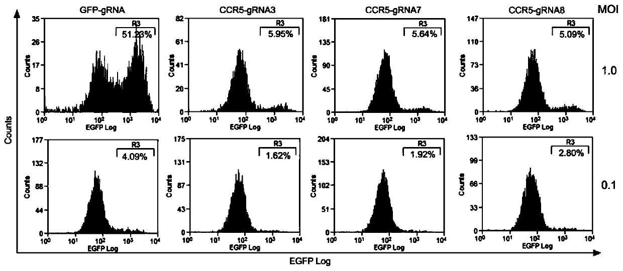 CRISPR/Cas9 recombinant lentiviral vector containing gRNA sequence specifically targeting ccr5 gene and its application