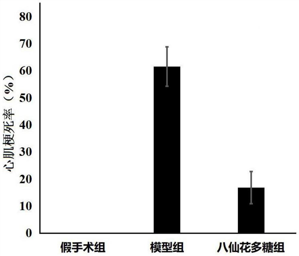 Hydrangea polysaccharide and its application in treating myocardial ischemia-reperfusion injury