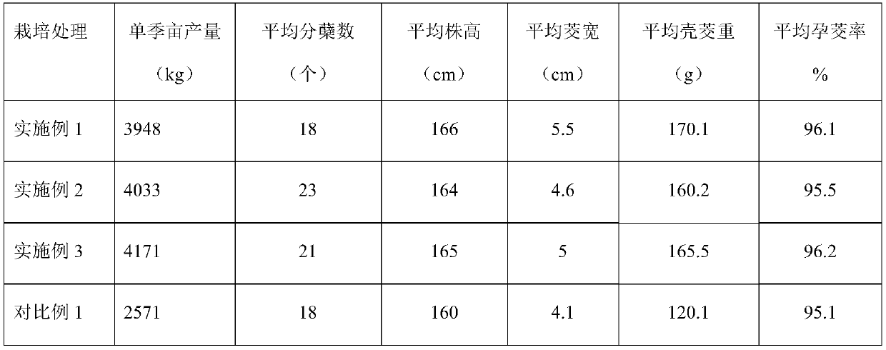 Method of high yield cultivation of wild rice shoots in tropic region