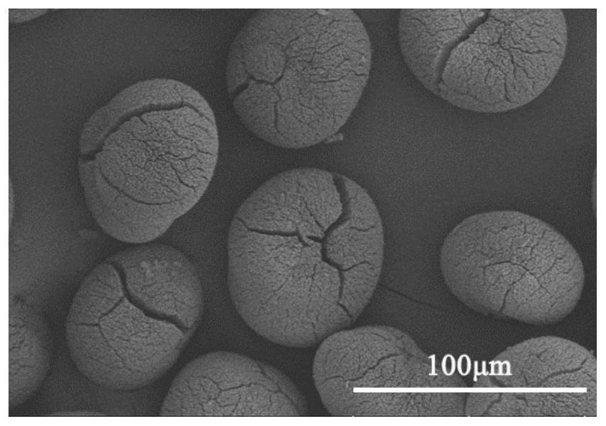 Large-size sea urchin spherical magnesium carbonate trihydrate and porous magnesium oxide assembled by nanorod arrays and preparation method thereof