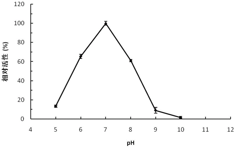 Excision-type agarose, coding gene and application thereof