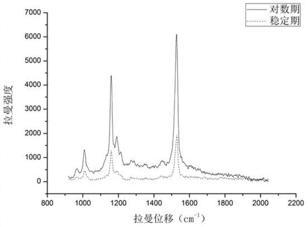 Method for identifying alga species by combining Raman spectroscopic technology and spectral peak ratio method