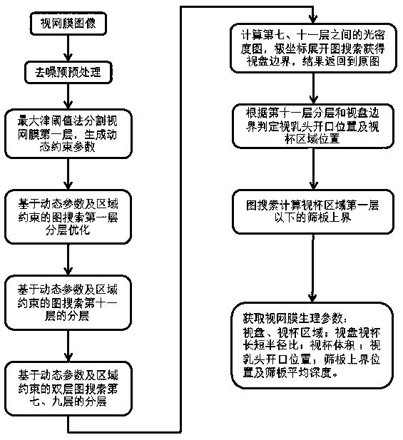 A Method for Obtaining Physiological Parameters in Retinal OCT Images Based on Dynamic Constrained Graph Search