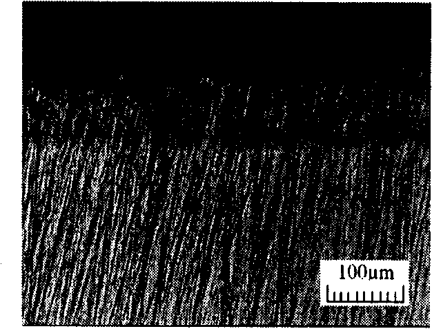 Multiple layer hydrogen infiltration -resistant compound film preparation method