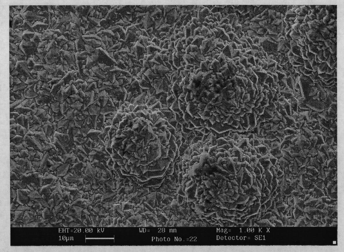 Method for pretreating lead base inert anode for electro-deposit copper