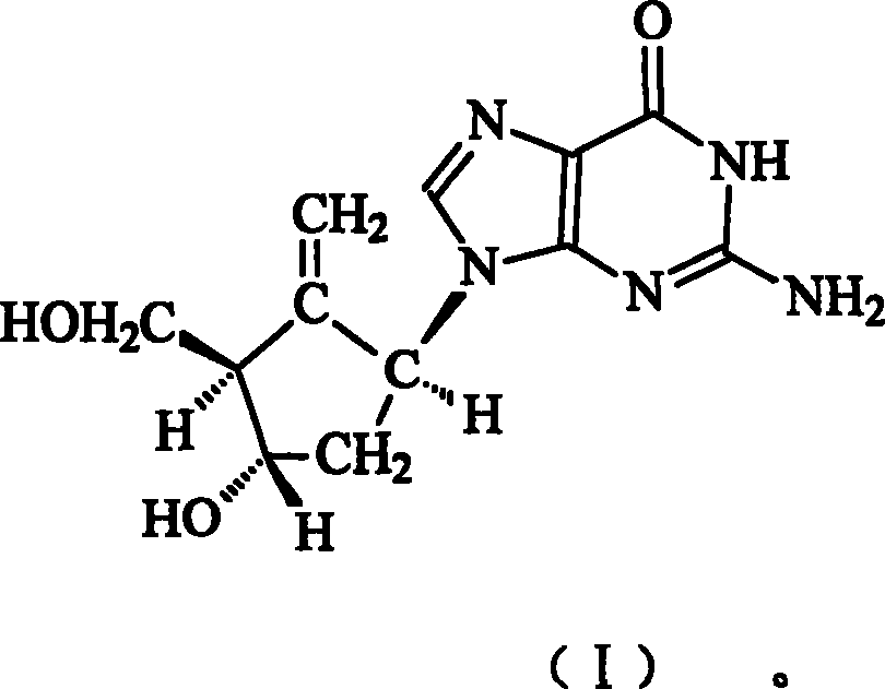 Entecavir medicinal composition and uses thereof