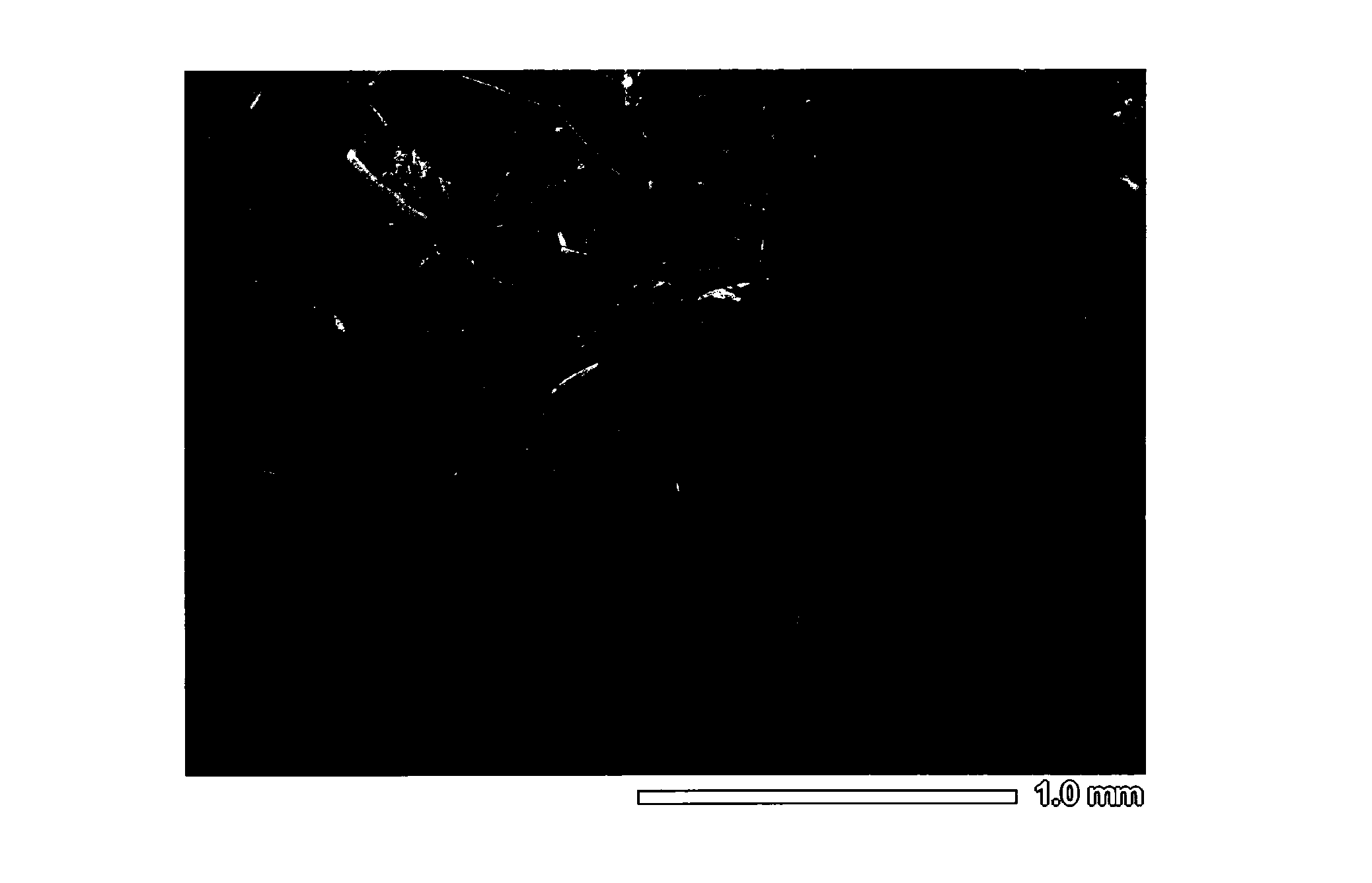 Method for manufacturing bamboo fibers