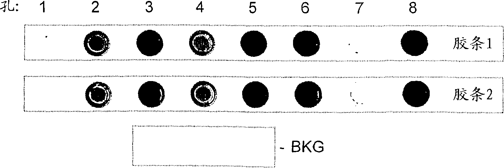 Improved polymerases