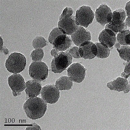 Preparation method of mesoporous print material capable of selectively adsorbing cadmium ions