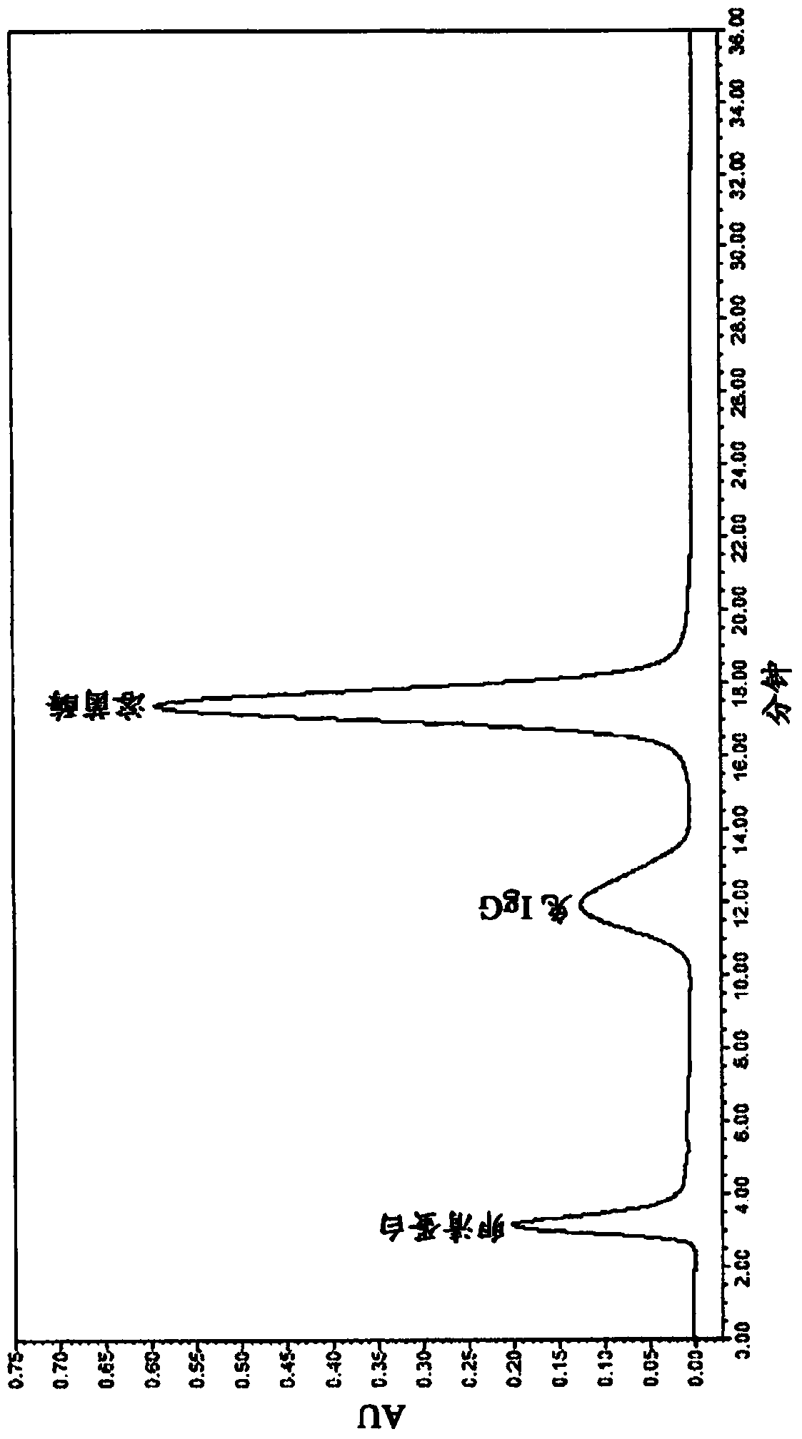 A novel chromatographic media based on allylamine and its derivative for protein purification