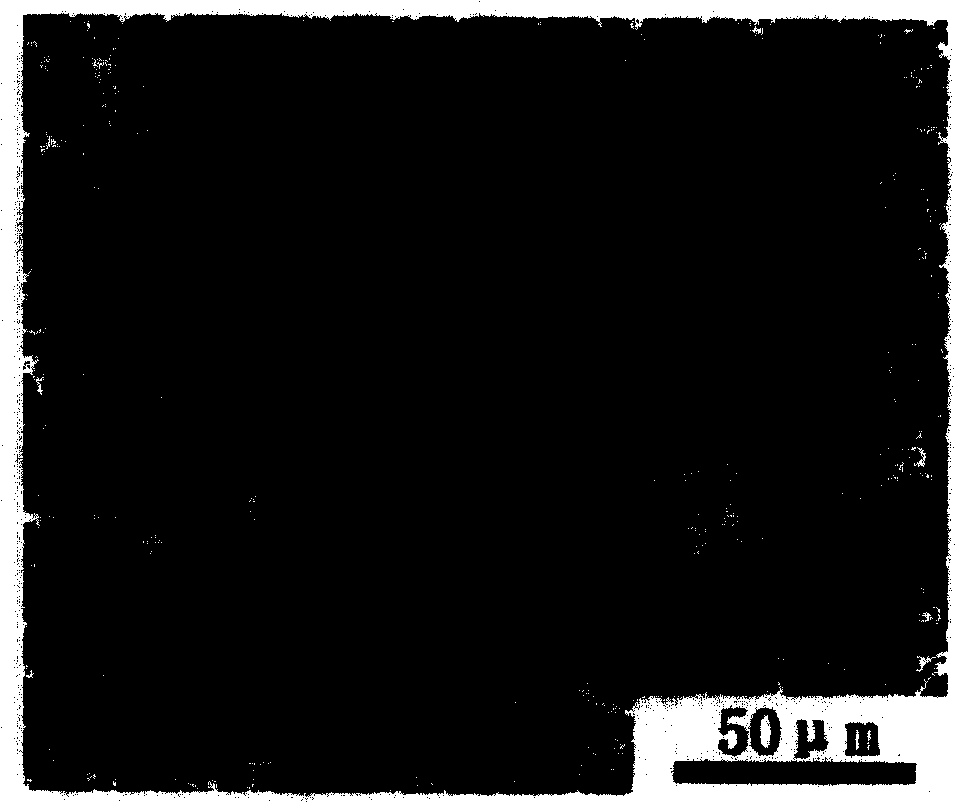 Rare earth doping CaAl2O4 nano-luminescent material and manufacture method thereof