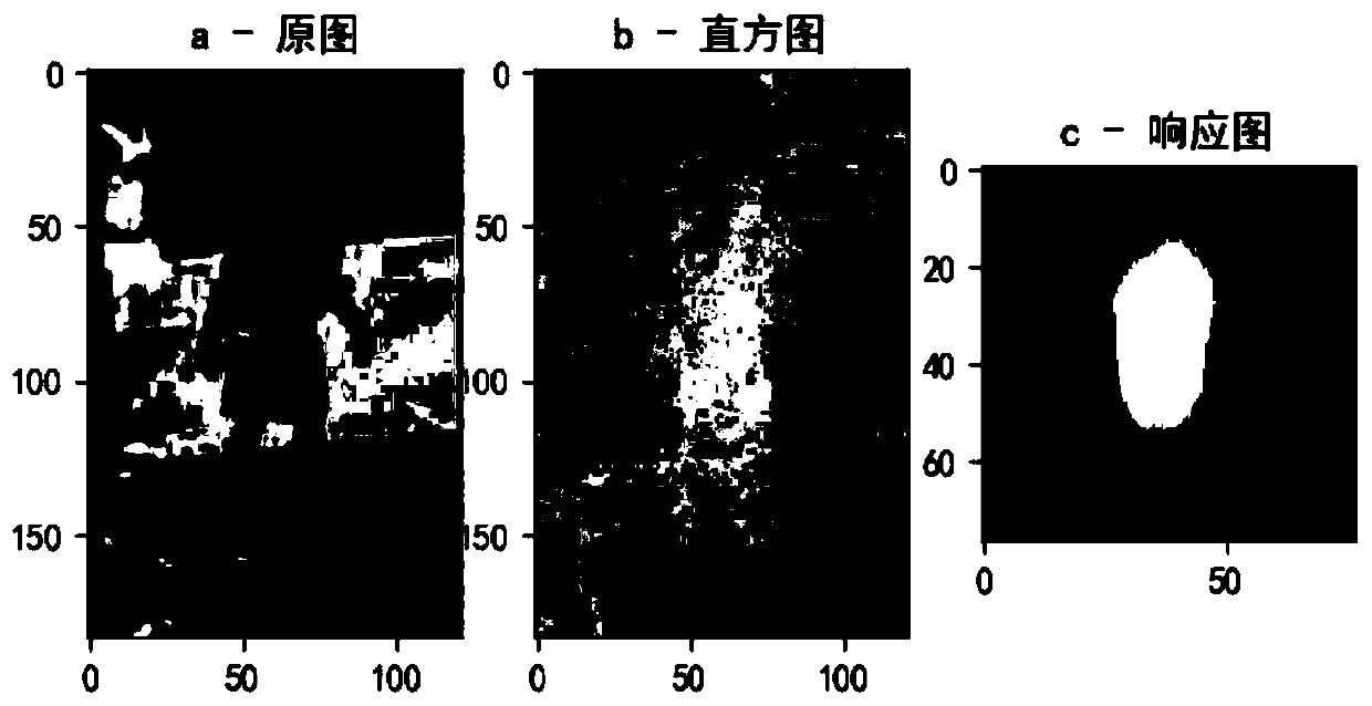 Single target tracking method based on feature compensation