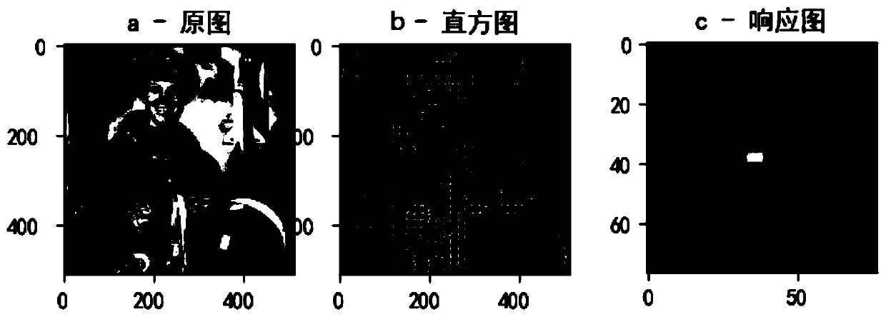 Single target tracking method based on feature compensation