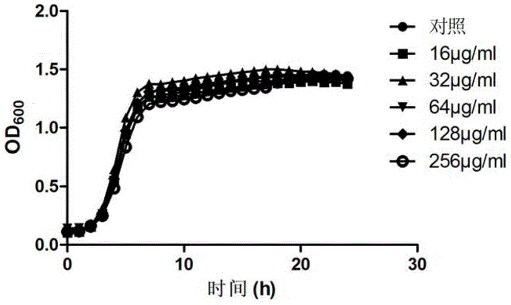 Biological film inhibiting peptide and application thereof