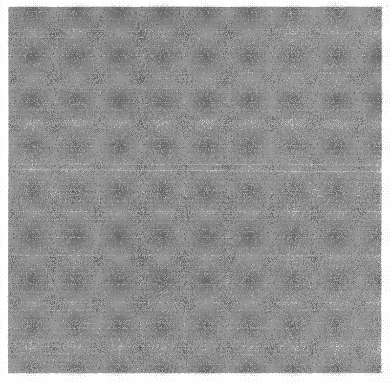 Roll forming method of large and medium-sized superalloy solid disc-shaped forgings