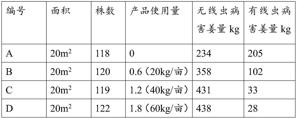 Microbial agent for preventing and treating nematode zingiberensis and application of microbial agent