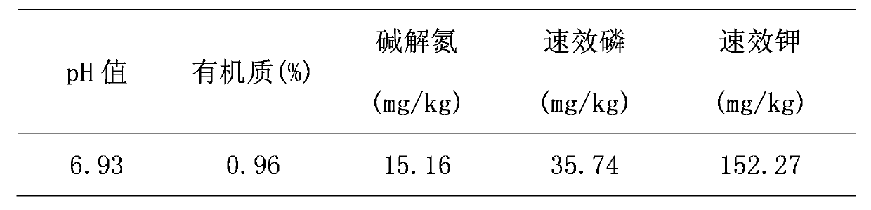 Double-membrane double-control slow release fertilizer