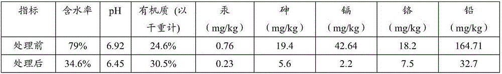 Composition or composite bacterium agent for treating sludge