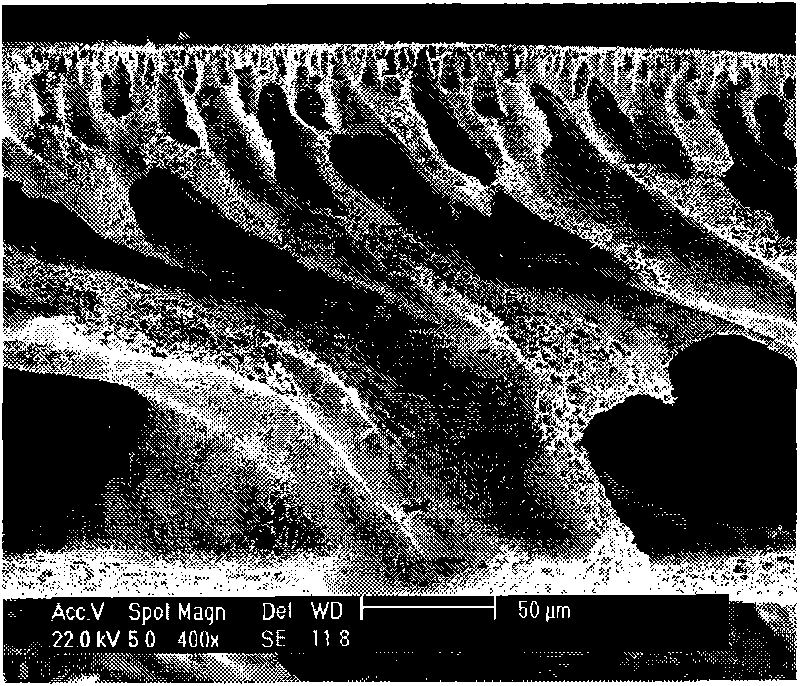 Polyacrylonitrile hydrolyzed modified ultrafiltration membrane resisting protein pollution and preparation method thereof