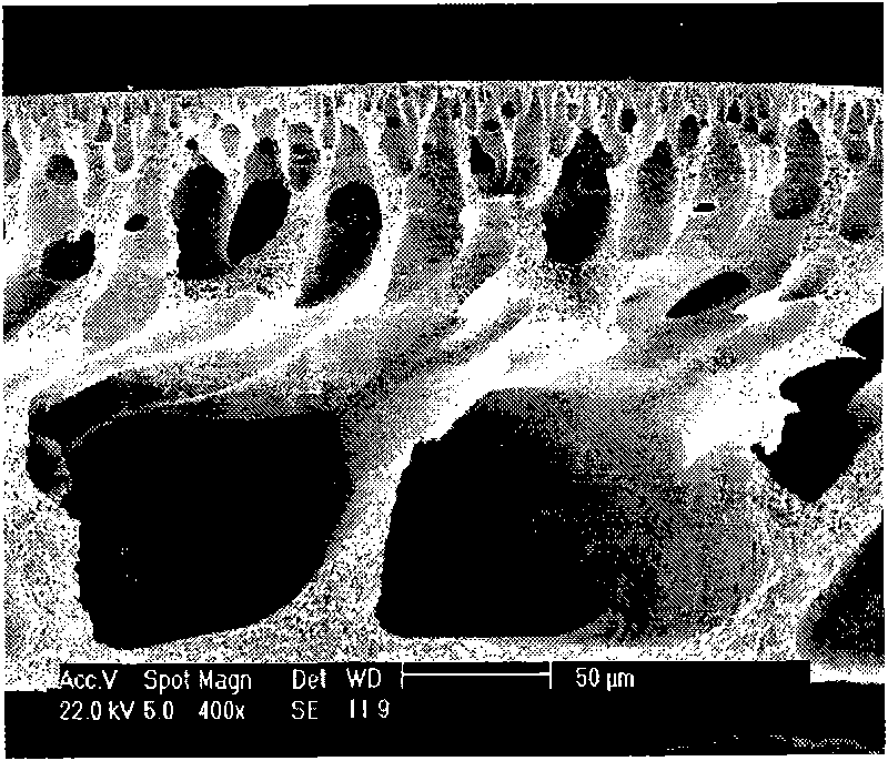 Polyacrylonitrile hydrolyzed modified ultrafiltration membrane resisting protein pollution and preparation method thereof