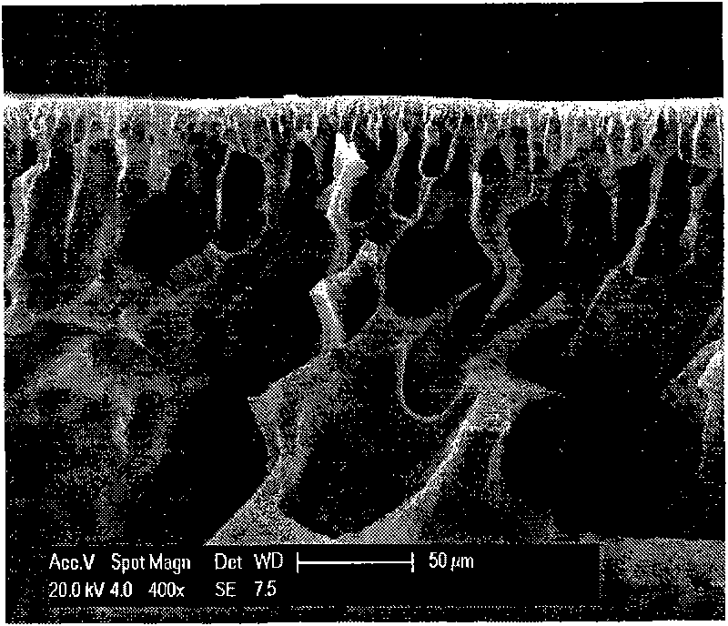 Polyacrylonitrile hydrolyzed modified ultrafiltration membrane resisting protein pollution and preparation method thereof