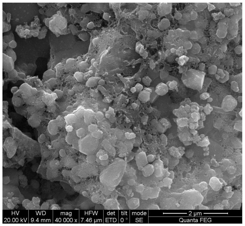 mg/Fe oxide modified biochar nanocomposite material and preparation method thereof