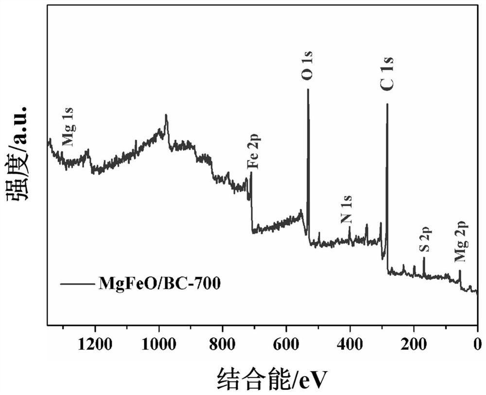 mg/Fe oxide modified biochar nanocomposite material and preparation method thereof