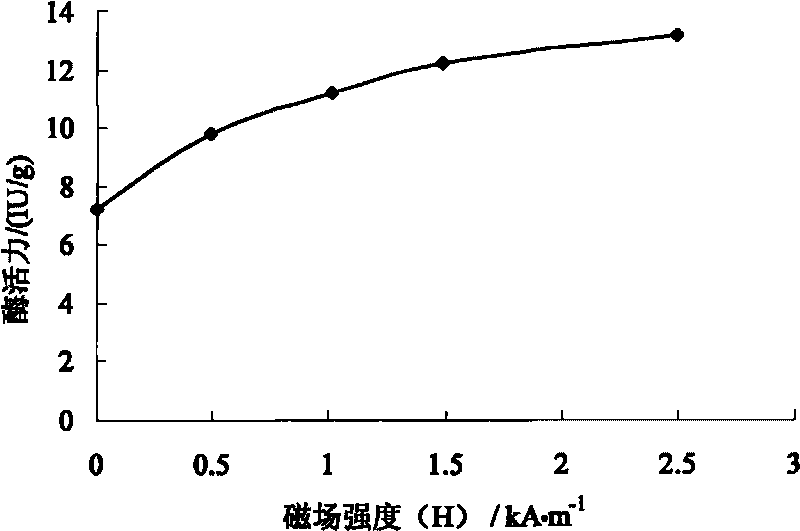 Method for improving enzymatic activity and utilization rate of immobilized enzymes in constant magnetic filed three-phase fluidized bed