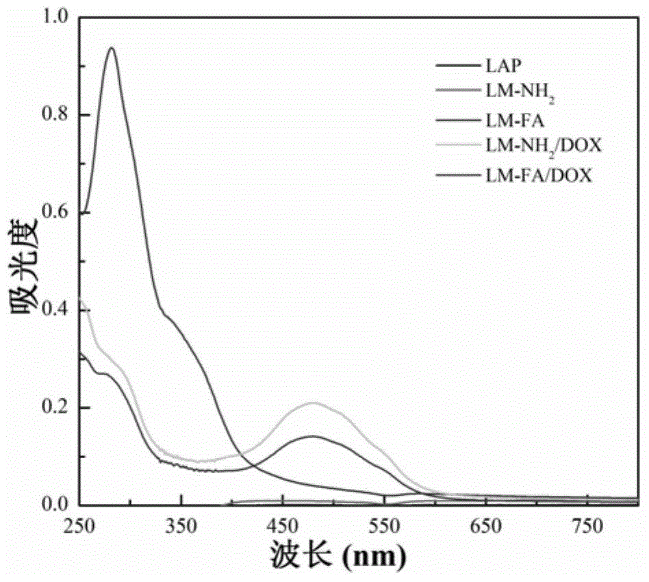 Folic-acid-modified laponite nanometer particle, preparation thereof and applications thereof