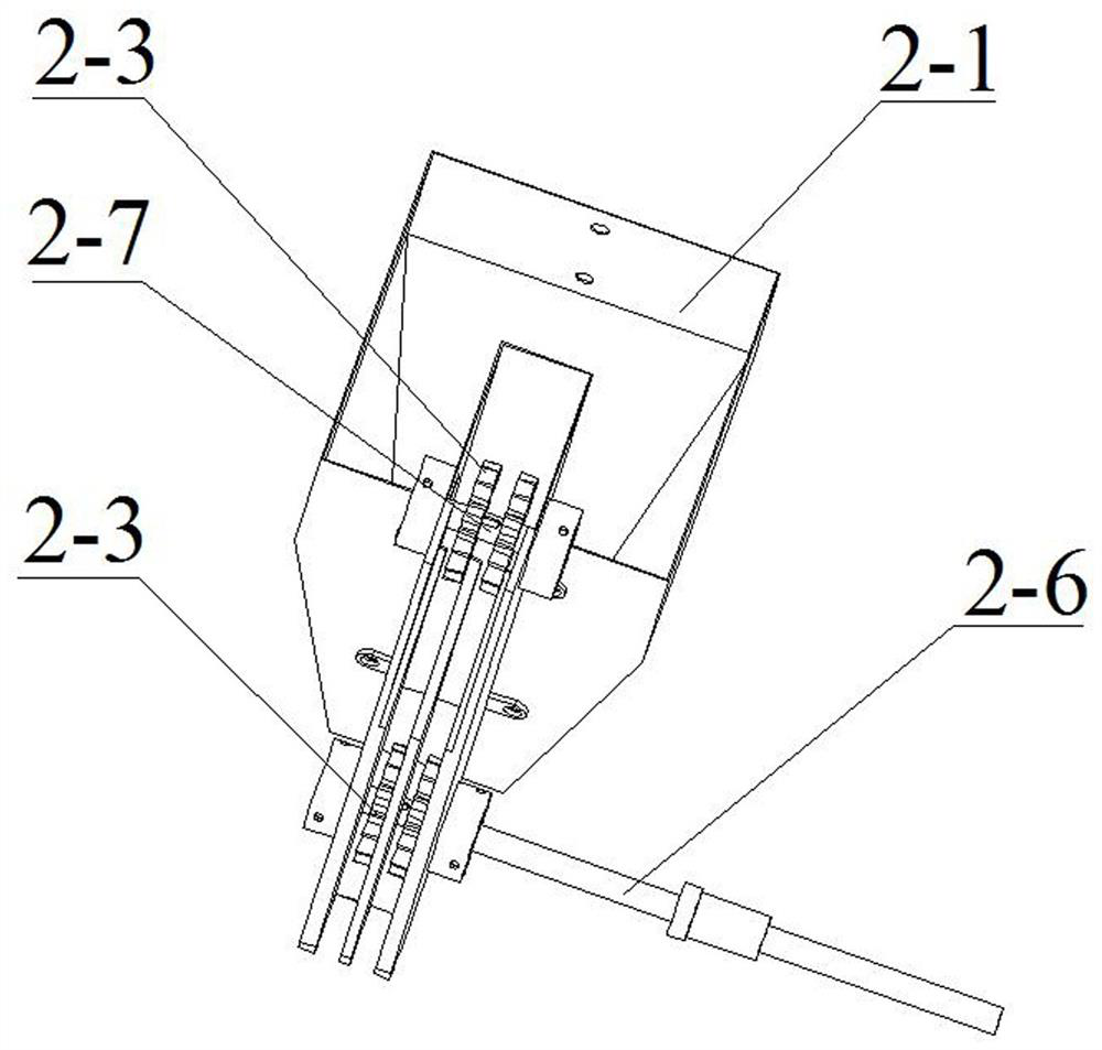 A positive bud seeding device for garlic planting