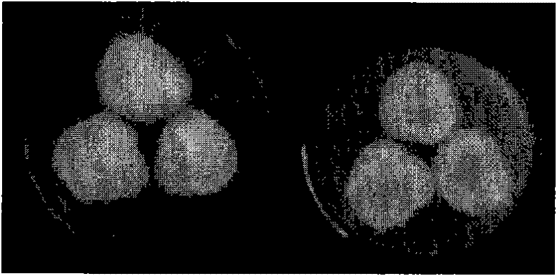 Aspergillus fumigatus and application thereof to degradation of imazethapyr