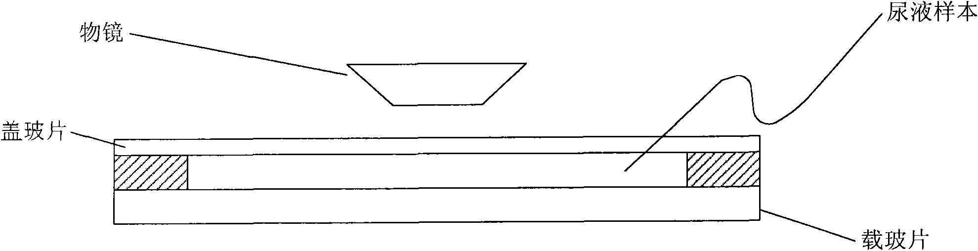 Body fluid analysis system as well as image processing device and method for body fluid analysis