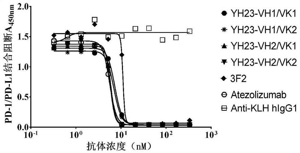 Development and application of immunomodulator