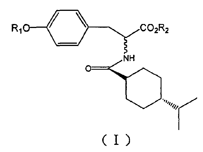 Alanine class compound, its preparing method and use