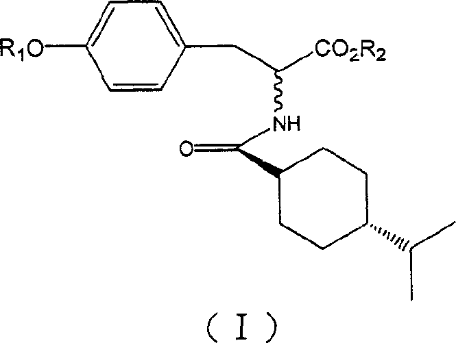 Alanine class compound, its preparing method and use