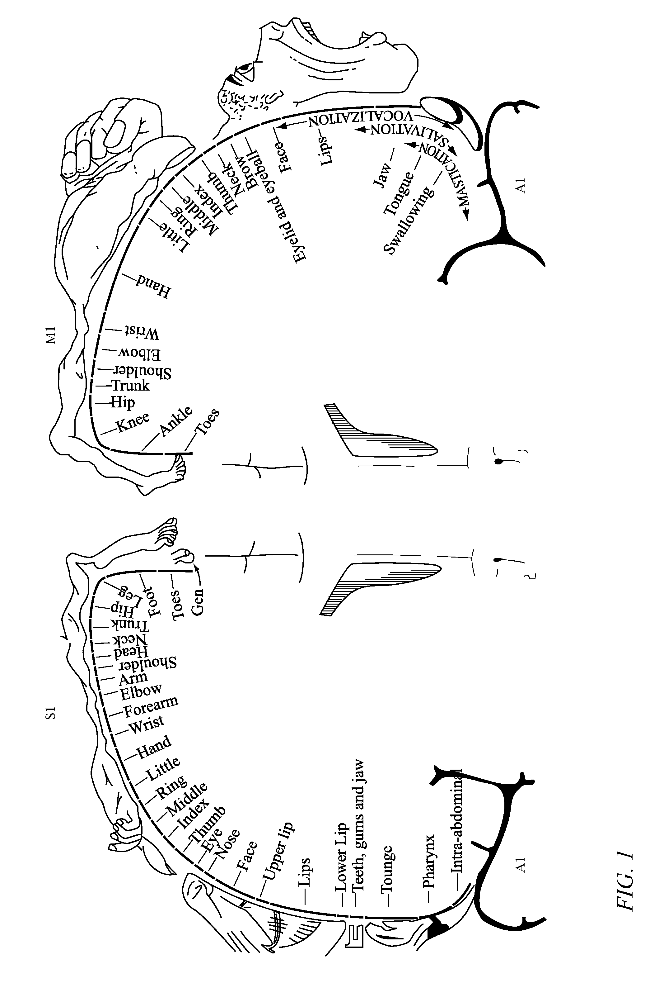 Brain imaging system and methods for direct prosthesis control