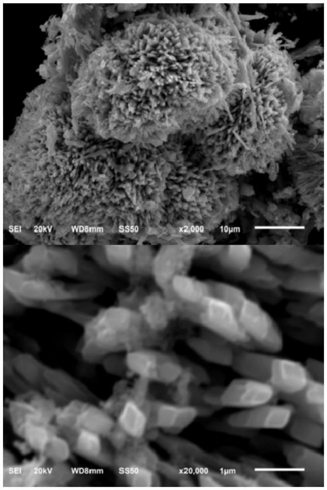 A kind of sea urchin-shaped copper-based catalyst and its preparation method and application