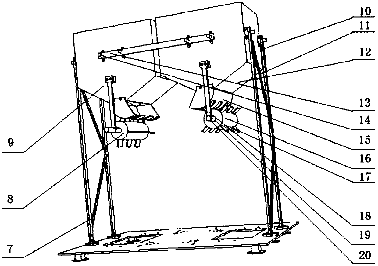 Sugarcane seed metering device