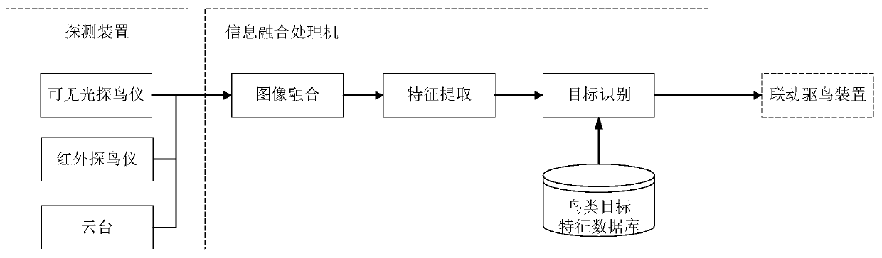 Bird condition detection equipment based on visible light and infrared light image fusion and identification method