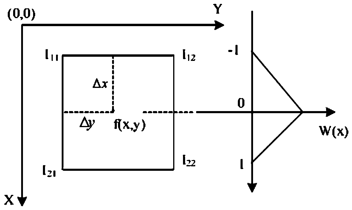 Bird condition detection equipment based on visible light and infrared light image fusion and identification method